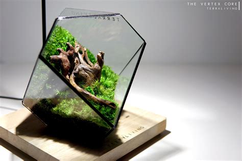 Terrarium Core .